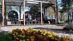Открытая библиотечная площадка в парке «Мир» ждёт гостей