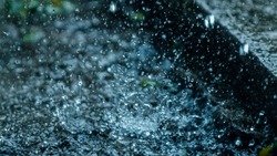 Сыро и ветрено будет на Сахалине 13 августа