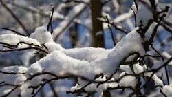 Циклон принесет сильный снег и ветер на Сахалин