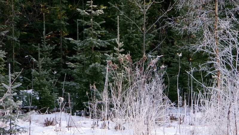 Народные приметы на 8 января — что нельзя делать в этот день