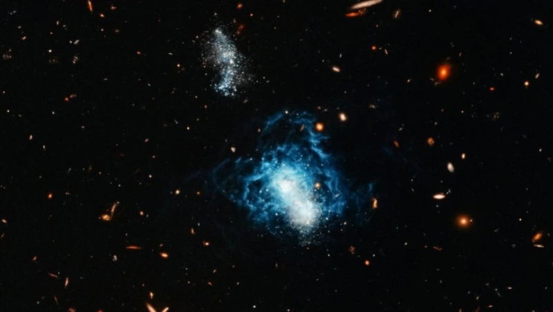 Гороскоп на 26 июля 2024 года: важные советы астрологов на день