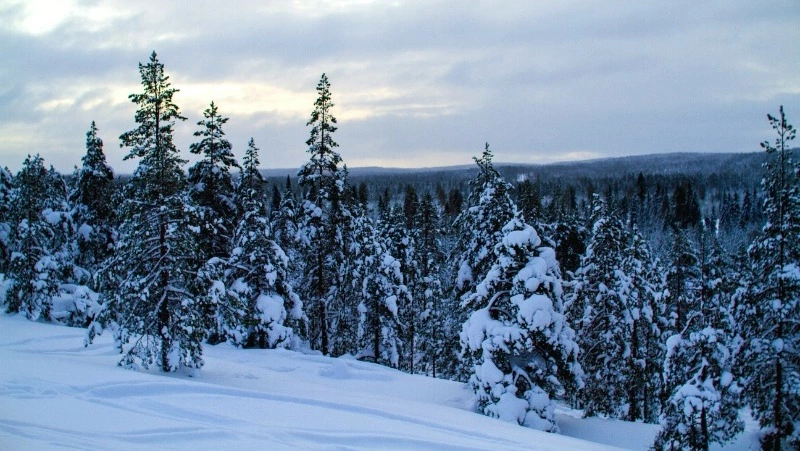 Народные приметы на 23 марта — что нельзя делать в этот день