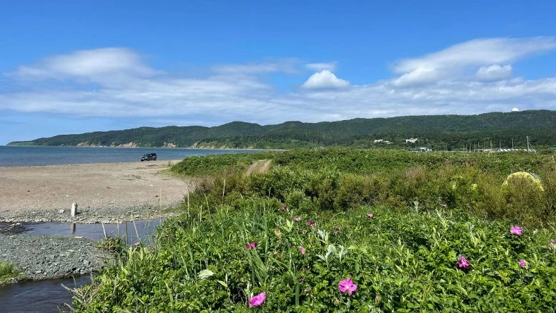 Прогноз погоды в Сахалинской области на 26 июля