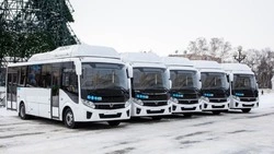 Власти Сахалина приобрели 25 современных автобусов для пяти районов