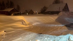 Прогноз погоды в Сахалинской области на 26 января