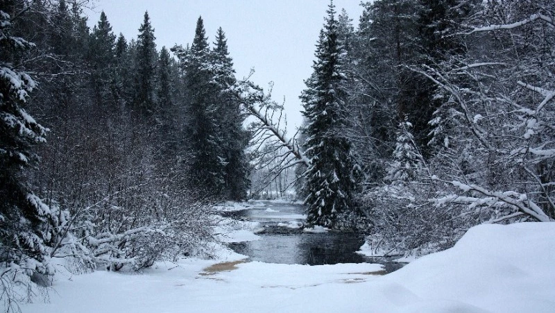 Церковный праздник 21 февраля 2024: что нельзя делать в этот день
