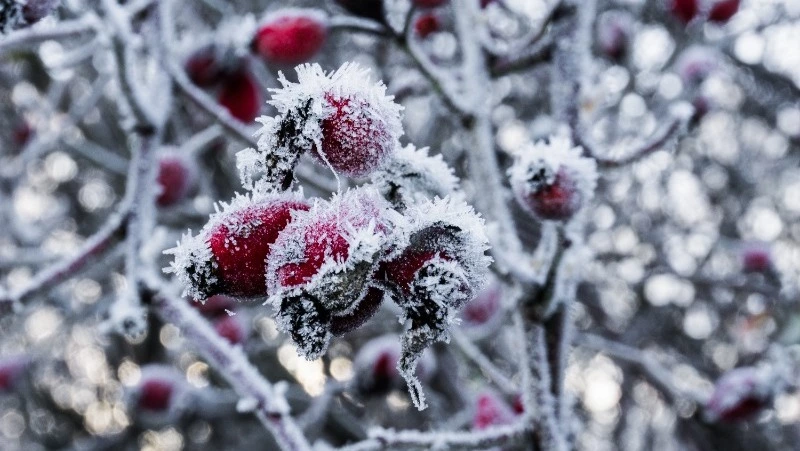 Народные приметы на 1 февраля — что нельзя делать в этот день