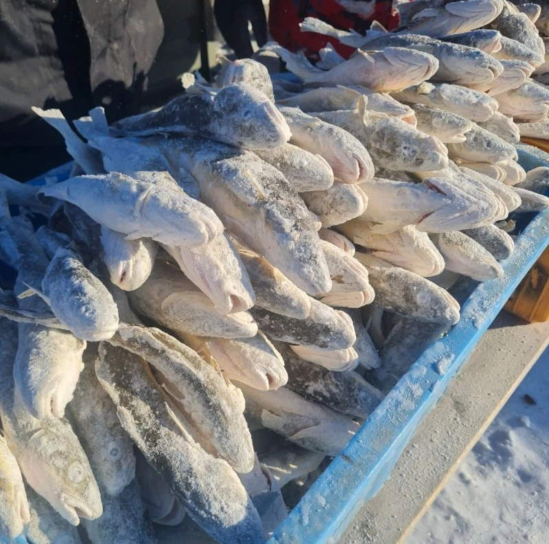 Реализация проекта «Доступная рыба»