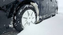 Сильная метель ожидается в некоторых районах Сахалина 6 февраля