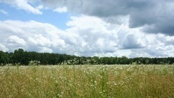 Теплый ветер и максимум +25 градусов — погода в Сахалинской области 1 августа