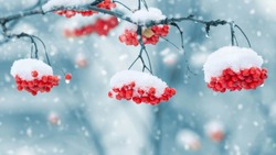 Народные приметы на 22 декабря — что нельзя делать в этот день