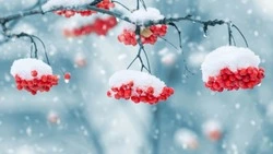 Народные приметы на 22 декабря — что нельзя делать в этот день