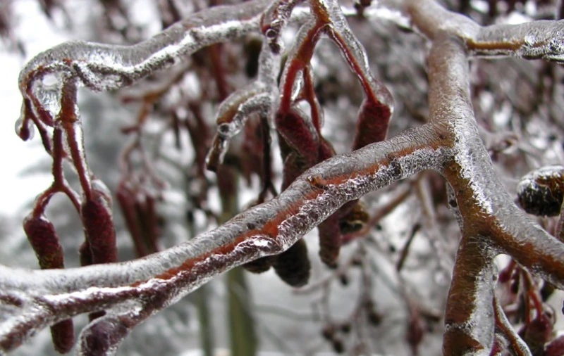 Церковный праздник 21 декабря 2023 года: что нельзя делать в этот день