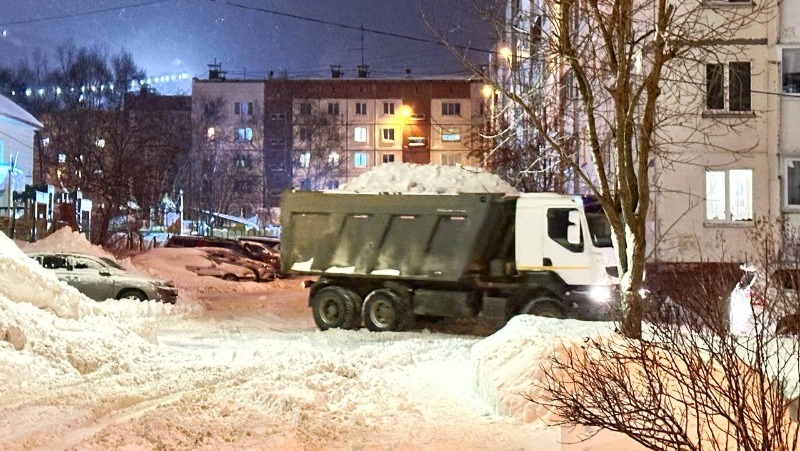Снежный циклон обрушится на восемь районов Сахалинской области 4 февраля