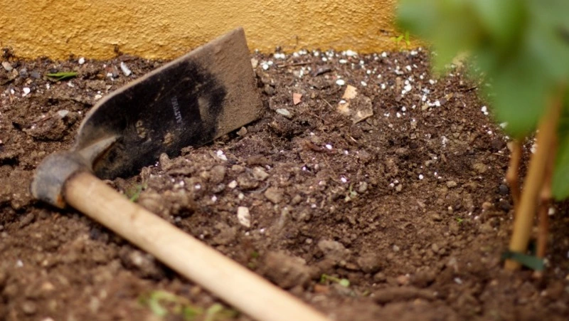 Народные приметы на 10 мая — что нельзя делать в этот день