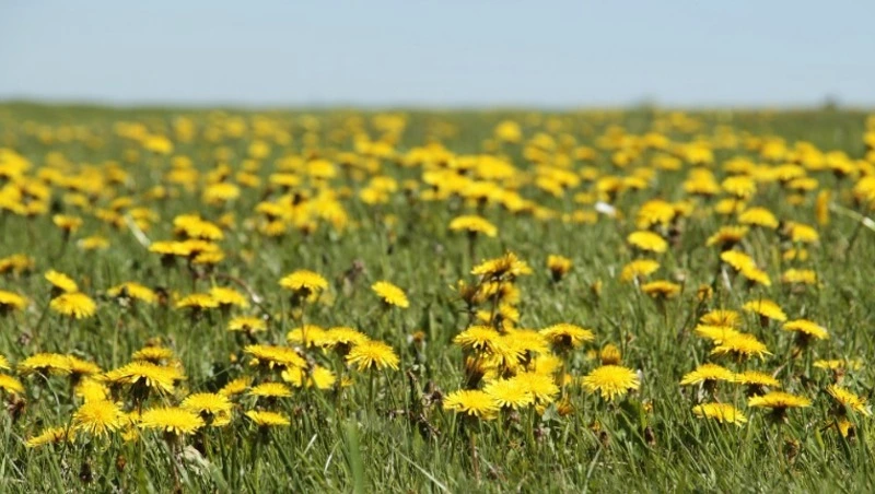 Народные приметы на 23 мая — что нельзя делать в этот день