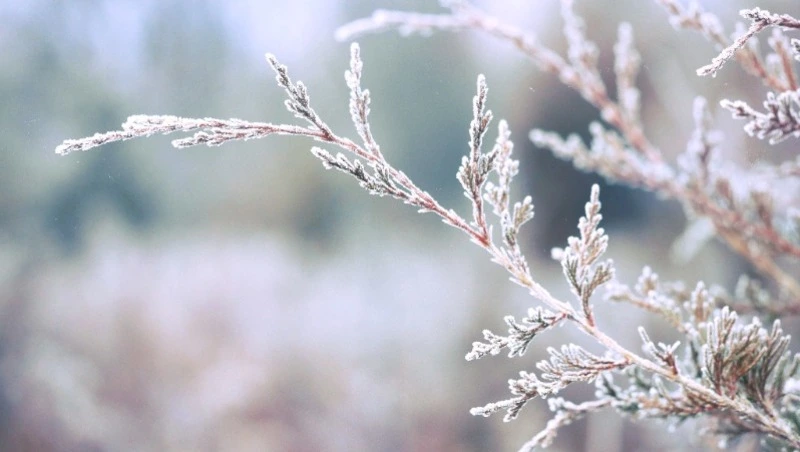 Церковный праздник 27 декабря 2023: что нельзя делать в этот день