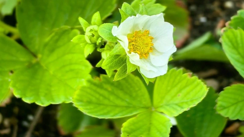 Народные приметы на 17 июня — что нельзя делать в этот день