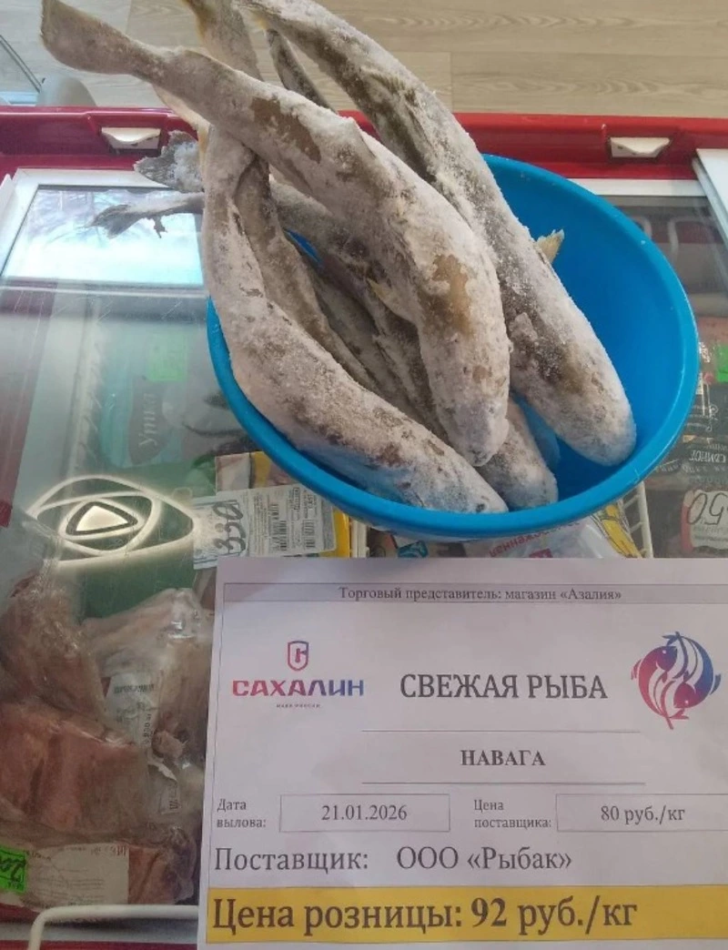 Итоги реализации проекта «Доступная рыба» за январь 2026 года 🐡