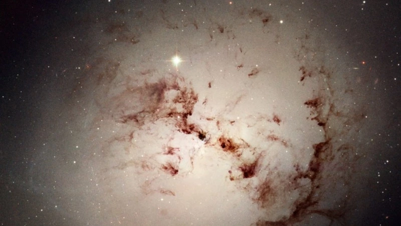 Лидерство Скорпионов и уверенность Козерогов: подробный гороскоп на 21 июня