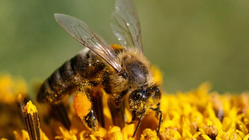 Народные приметы на 28 апреля — что нельзя делать в этот день