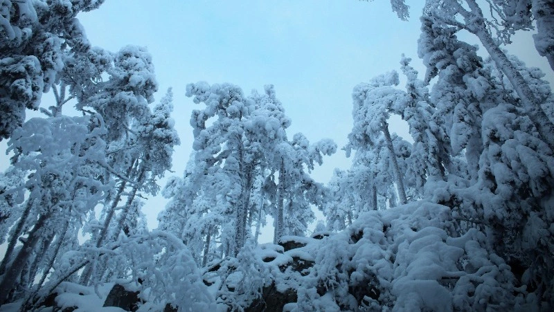 Народные приметы на 11 февраля — что нельзя делать в этот день