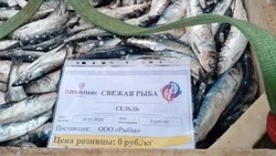 Проект «Доступная рыба»: 5 тонн сельди бесплатно для жителей Смирныховского района!