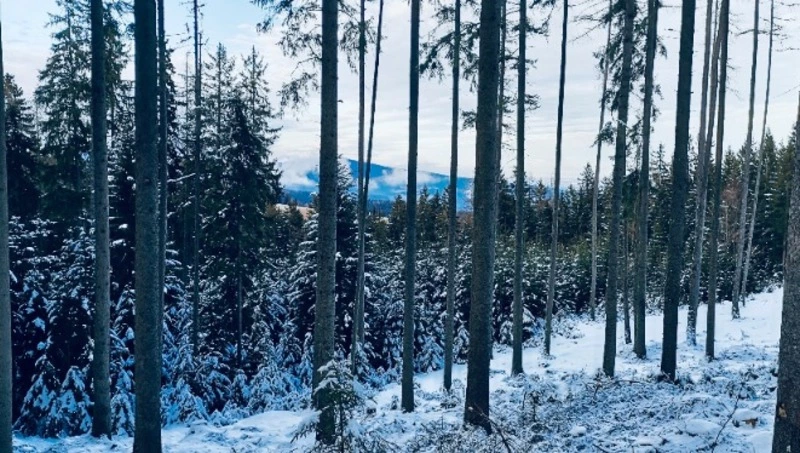 Народные приметы на 18 февраля — что нельзя делать в этот день