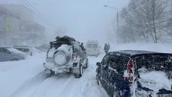 Прогноз погоды в Сахалинской области на 25 января