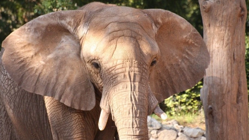 13 марта — праздники, исторические события и именины