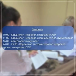 Мобильная бригада медиков примет пациентов в пгт. Смирных