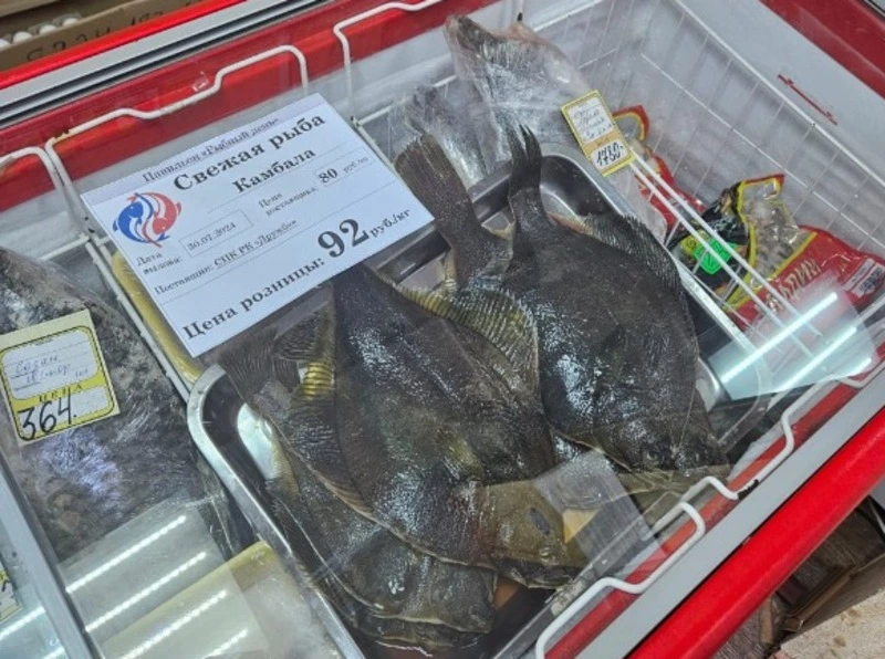 Итоги реализации региональной программы «Доступная рыба» за июль 2024 