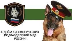 Красивые картинки с Днем кинолога 2024
