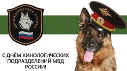 Красивые картинки с Днем кинолога 2024