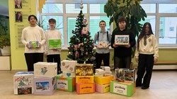 Очередная партия посылок готовится к отправке в зону СВО