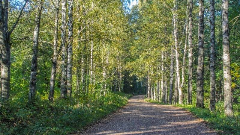 Народные приметы на 11 мая — что нельзя делать в этот день