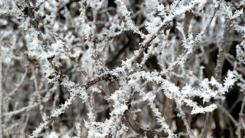 Снег и холод ожидаются в Сахалинской области 27 декабря