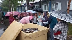 Доступная рыба для жителей Смирныховского района