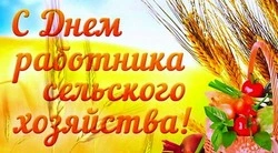 Поздравление с Днем работника сельского хозяйства 2024: картинки и открытки