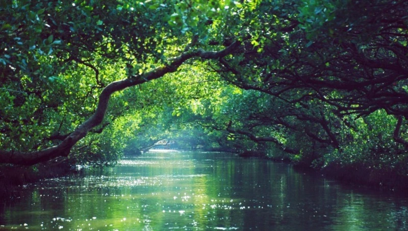 21 марта — праздники, исторические события и именины