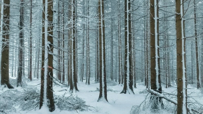 Народные приметы на 16 февраля — что нельзя делать в этот день