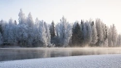 Народные приметы на 26 декабря — что нельзя делать в этот день