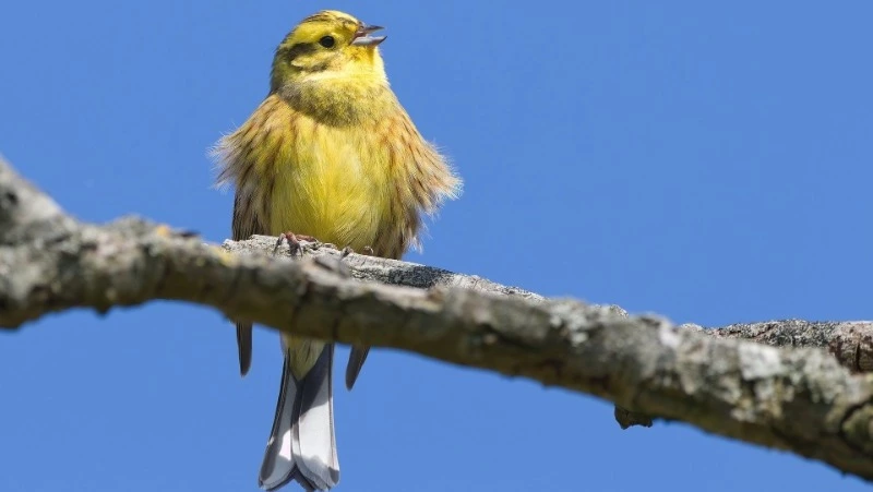 Народные приметы на 8 апреля — что нельзя делать в этот день