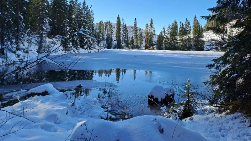 Мороз и плюсовые температуры ожидаются в Сахалинской области 21 марта