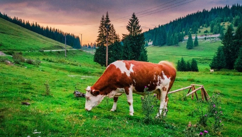 Народные приметы на 6 мая — что нельзя делать в этот день