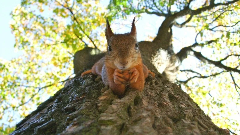 Народные приметы на 5 апреля — что нельзя делать в этот день