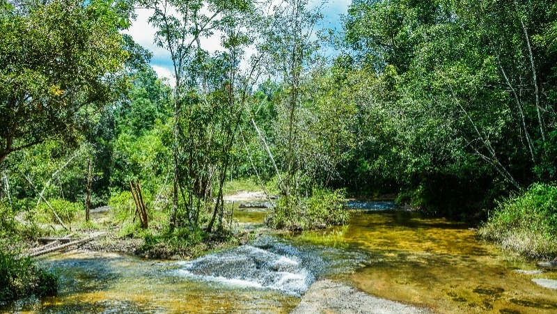 Народный и церковный праздник 20 июня 2024 — что нельзя делать в этот день