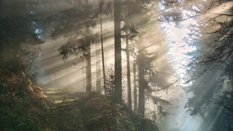 Народный и церковный праздник 30 июня 2024 — что нельзя делать в этот день