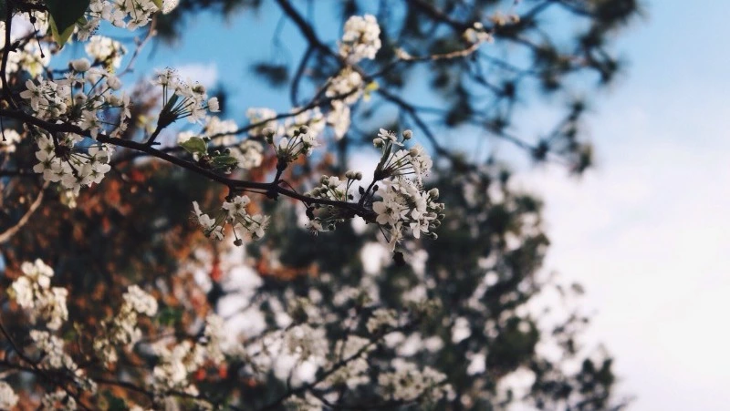 Церковный праздник 27 ноября 2023: что нельзя делать в этот день