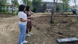 Контроль исполнения поручений губернатора